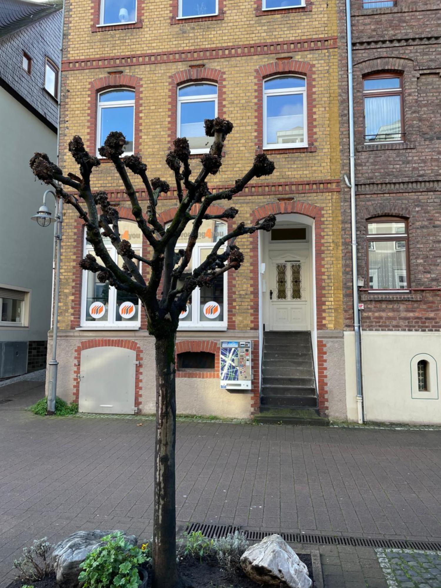 Good Times In St. Goar Daire Sankt Goar Dış mekan fotoğraf